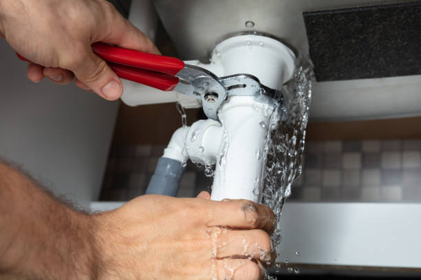 Best Sewage cleanup and water damage restoration  in Montana City, MT