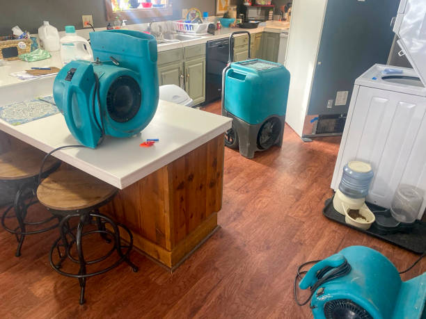 Best 24/7 water damage repair  in Montana City, MT