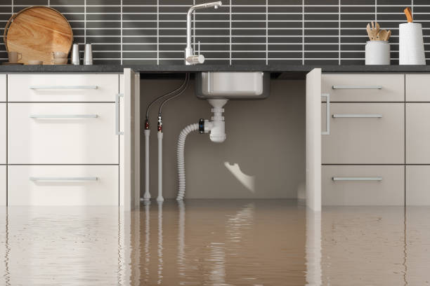 Professional Water damage restoration in Montana City, MT