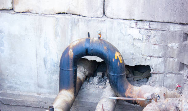 Best Carpet water damage restoration  in Montana City, MT